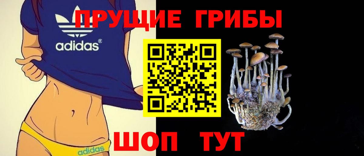 Галлюциногенные грибы Psilocybe Элиста